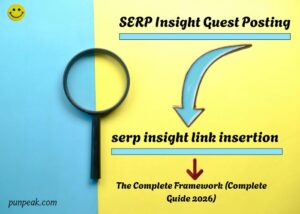 SERP Insight Guest Posting
