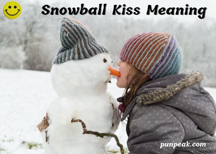 Snowball Kiss Meaning 2026: A Comprehensive Guide to Modern Romance, Psychology, and Digital Culture