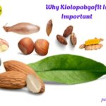 Why Kiolopobgofit Is Important