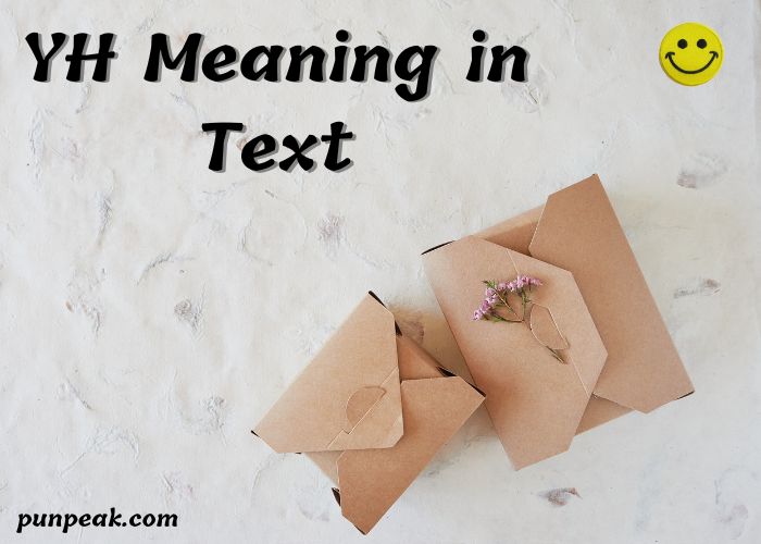 YH Meaning in Text: The Complete Guide to Understanding Online Chats