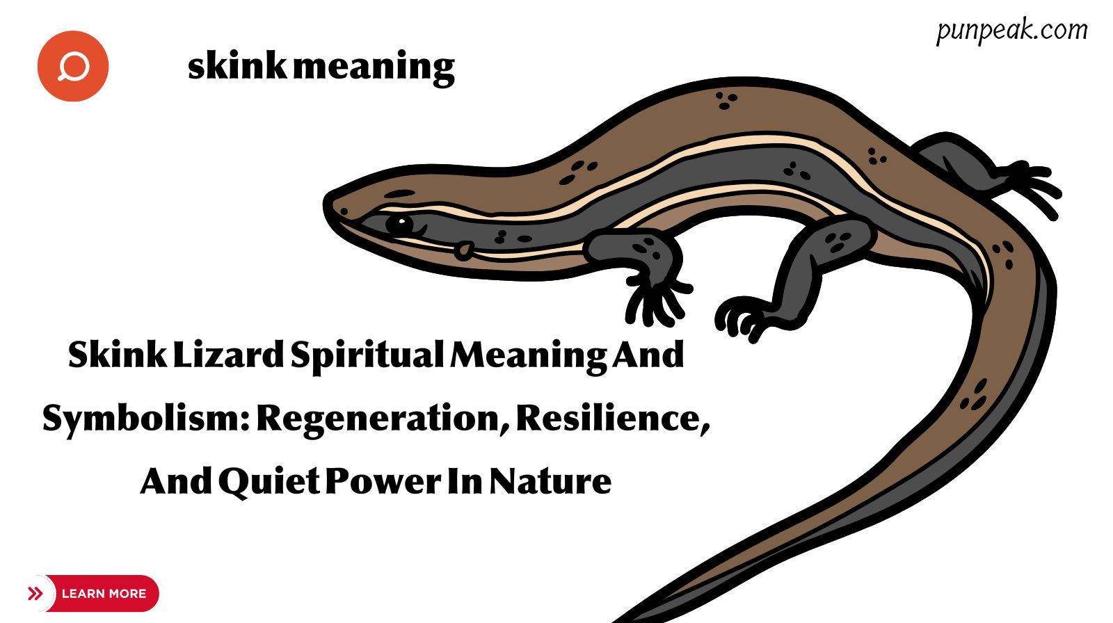 skink meaning