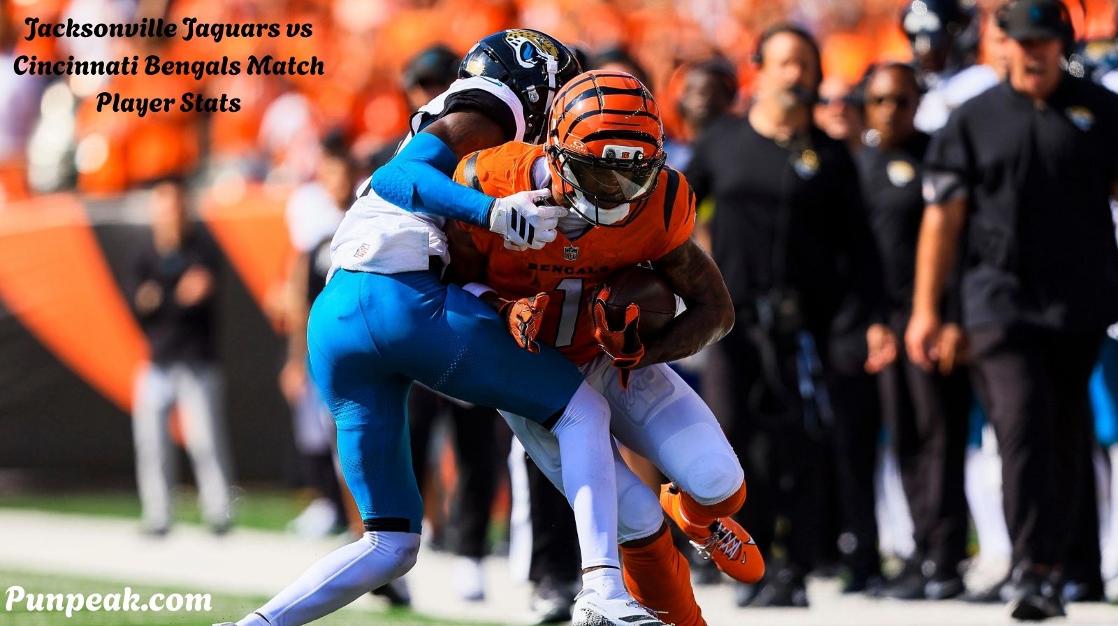 Jacksonville Jaguars vs Cincinnati Bengals Match Player Stats