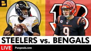 Steelers vs Bengals Match Player Stats